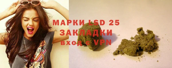 индика Балабаново
