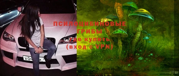 индика Балабаново