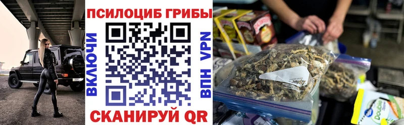 Псилоцибиновые грибы прущие грибы  Белокуриха 