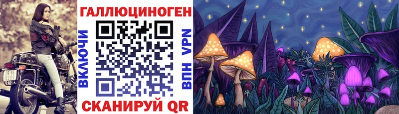 Псилоцибиновые грибы Cubensis Белокуриха