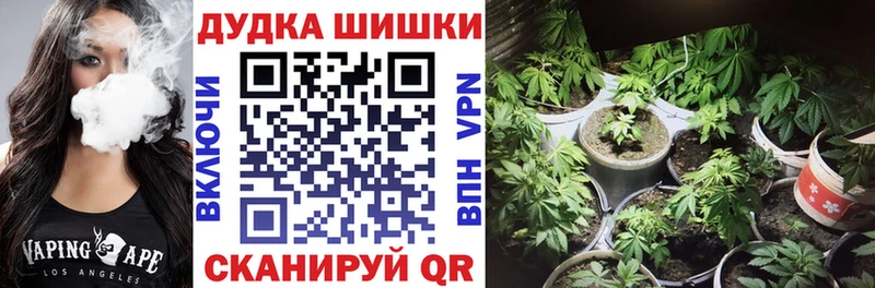 МЕГА   Белокуриха  Бошки марихуана THC 21% 